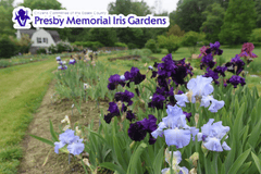 Class catalog graphic ClassGraphic