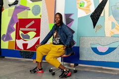 Mickalene Thomas: Subverting the Familiar NEW - Online Graphic