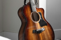 Introduction to Blues Guitar NEW Graphic